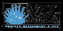 Azul Tequila School